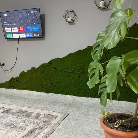 Ayso 2 Center Daire *