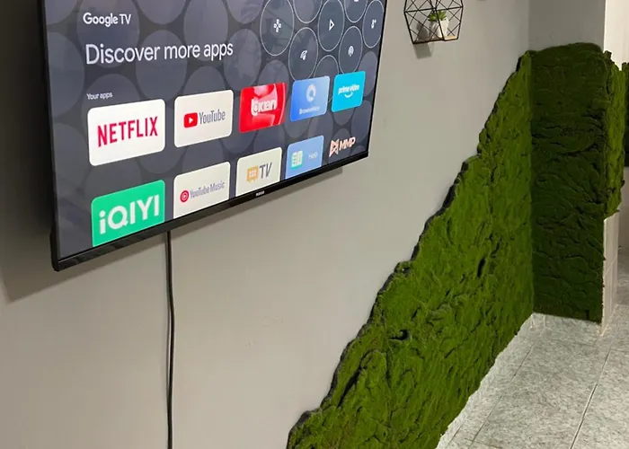 Ayso 2 Center Daire Tiran